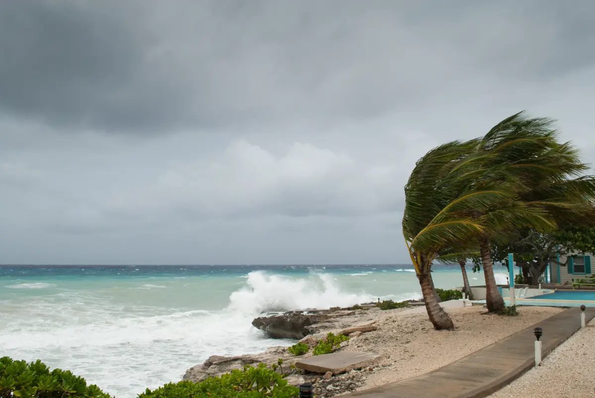 
Ante el huracán Beryl a Yucatán, Telmex y Telcel tienen este plan de contingencia
