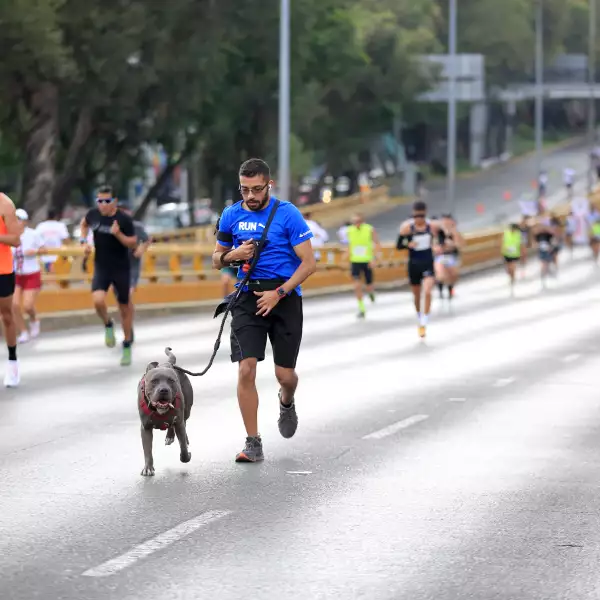 SPLIT 16K ADIDAS 085.JPG