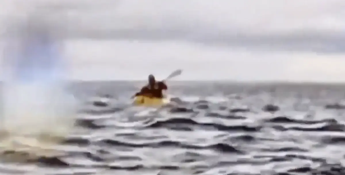 ballena-se-traga-hombre-en-kayak