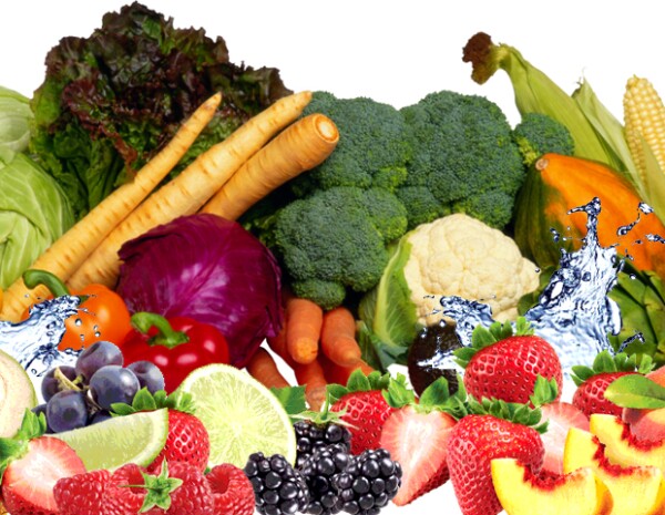 Dieta balanceada