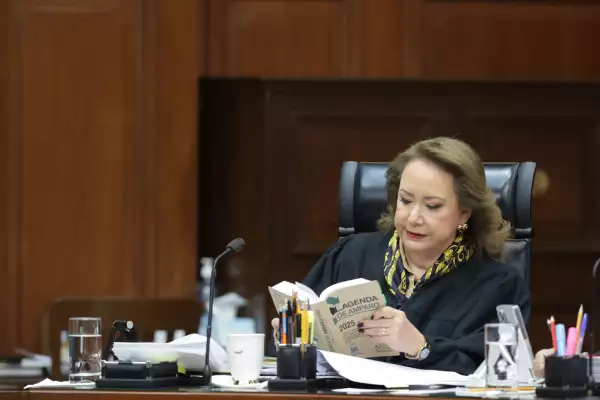 Apartments, cars and even a water concession, among the assets of the ministers of the Court Yasmín Esquivel Mossa