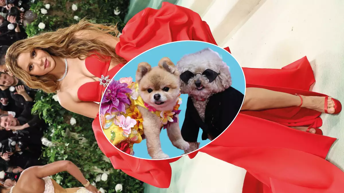La Pet Gala: los perritos que recrearon los looks de la Met Gala 2024