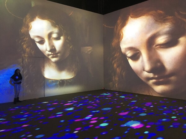 Da Vinci Experience