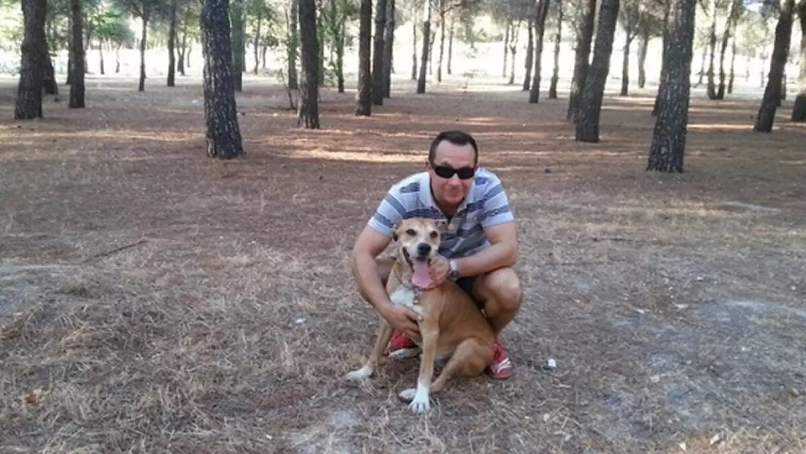 Excálibur perro protestas 6