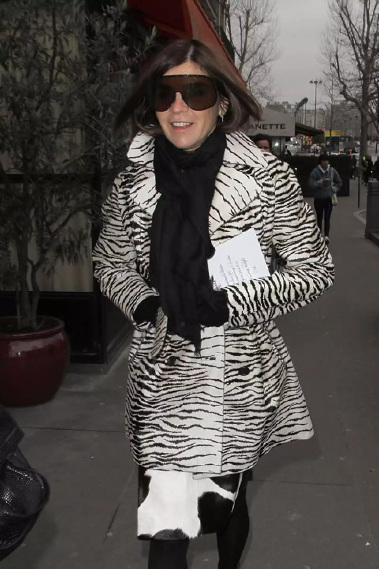 Carine Roitfeld