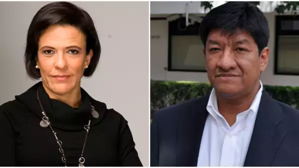 perfiles consejo técnico ine