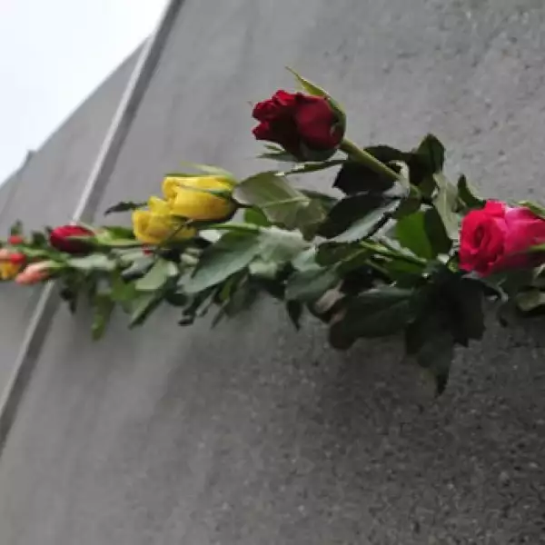 Muro Berlin rosas grieta