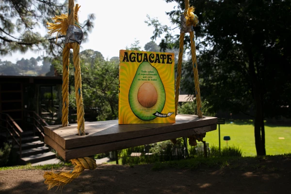 Aguacate