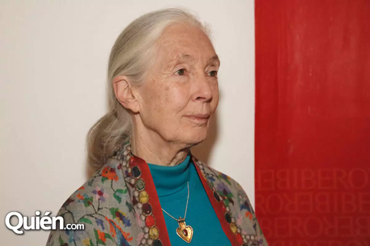 Jane Goodall