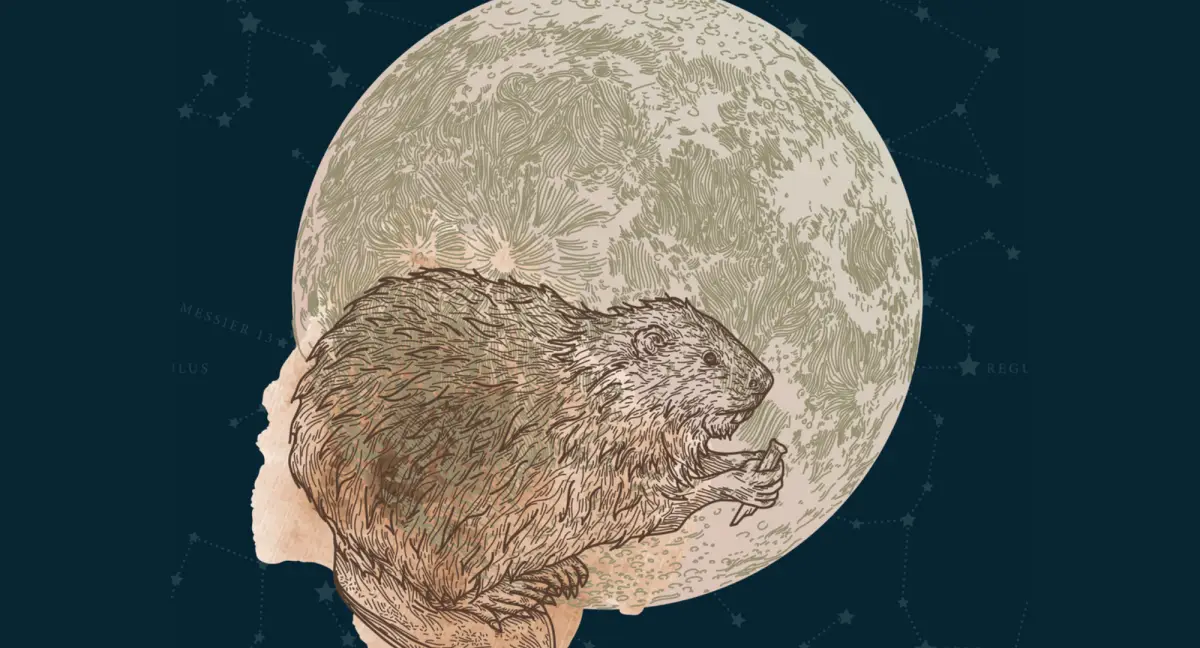 luna-de-castor-2024