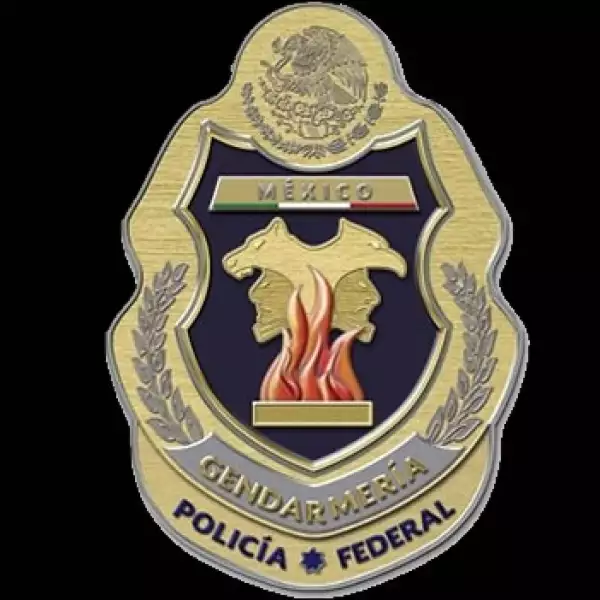 gendarmeria nacional, escudo