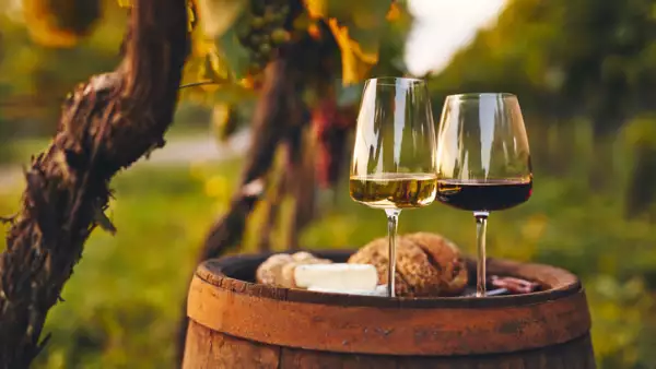 Te decimos el maridaje perfecto para estos vinos refrescantes