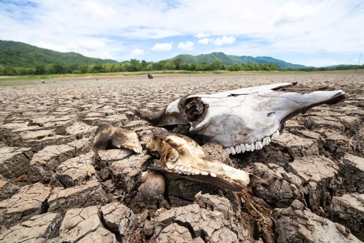 Tejiendo agendas. El agua y la alimentación en la crisis climática