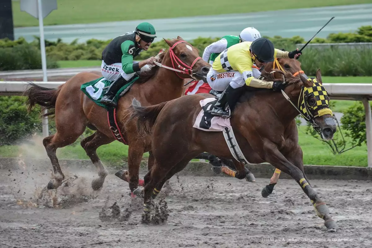 Casino Yak Hipódromo