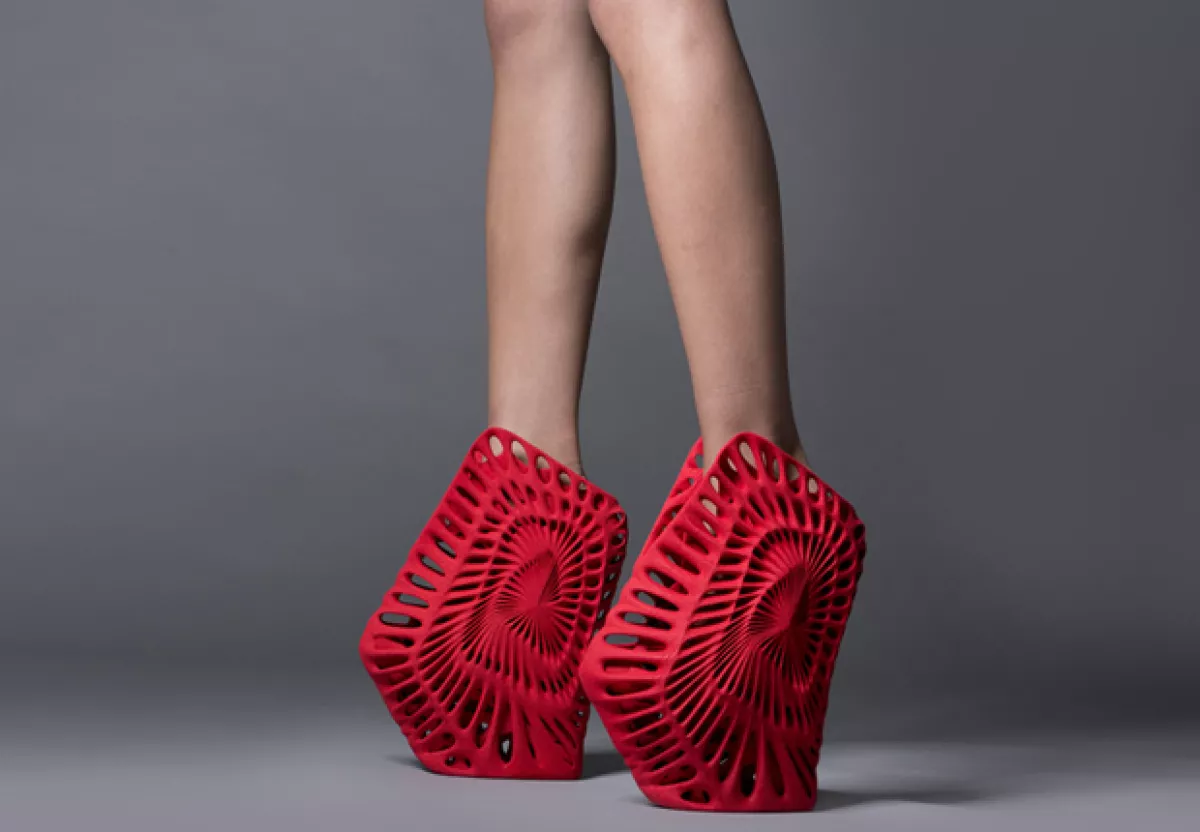 AMMONITE DE FERNANDO ROMERO.