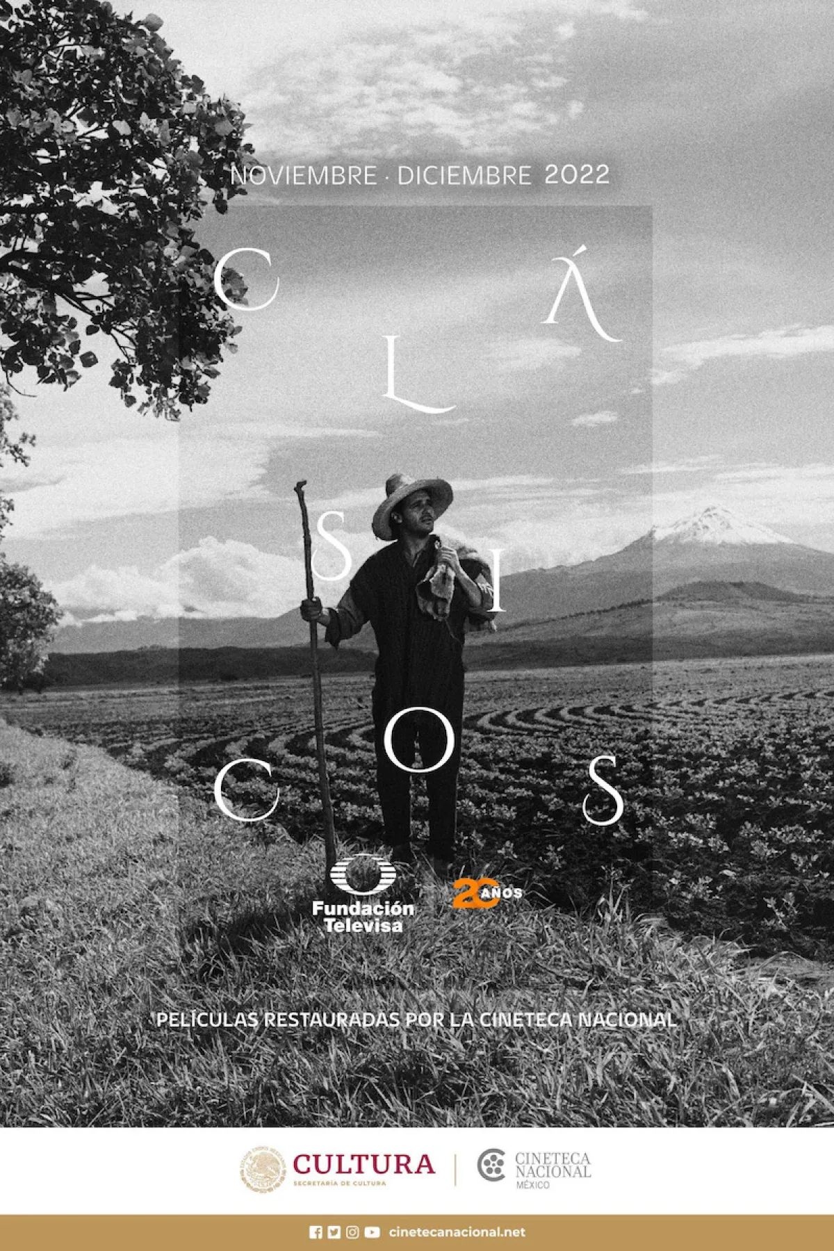 unnamed (10).jpg