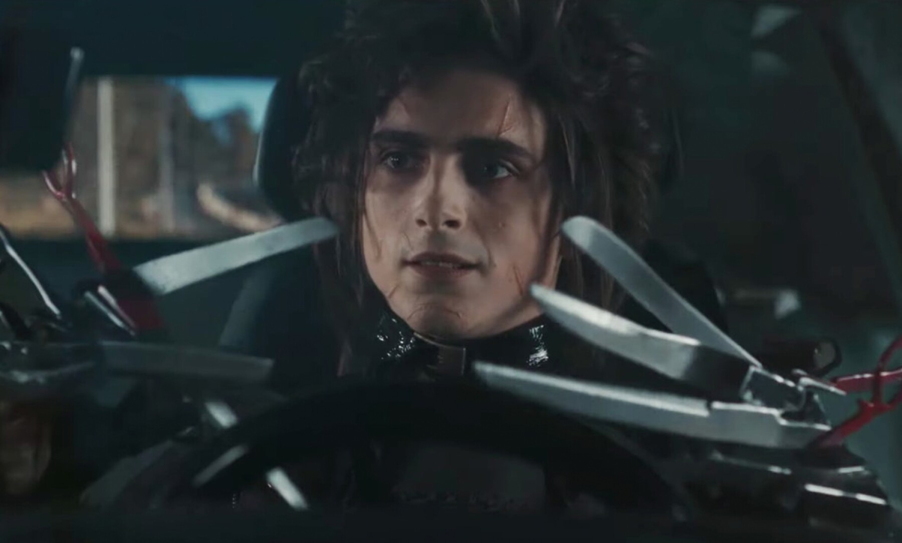 Timothée Chalamet Super Bowl