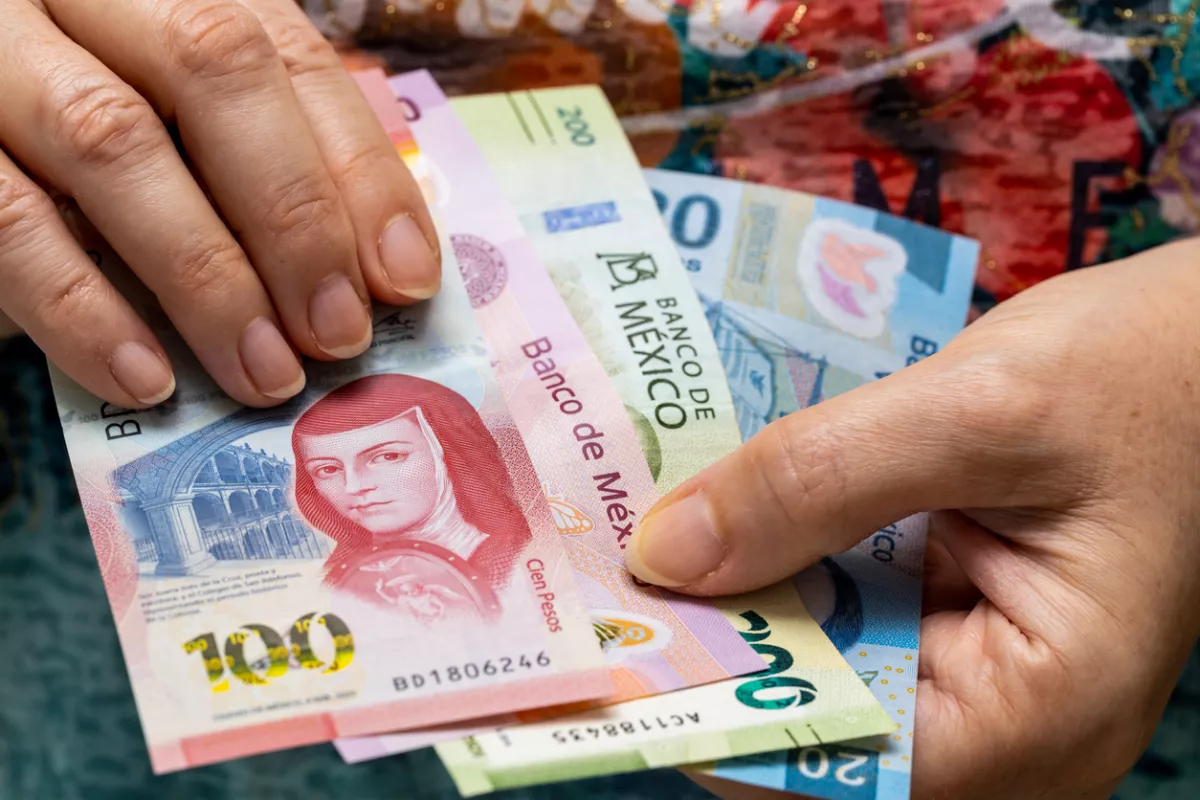 sat-llama-a-pagar-utilidades