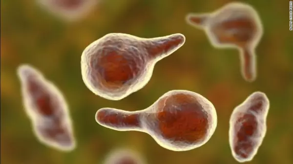 bacteria 2.jpg