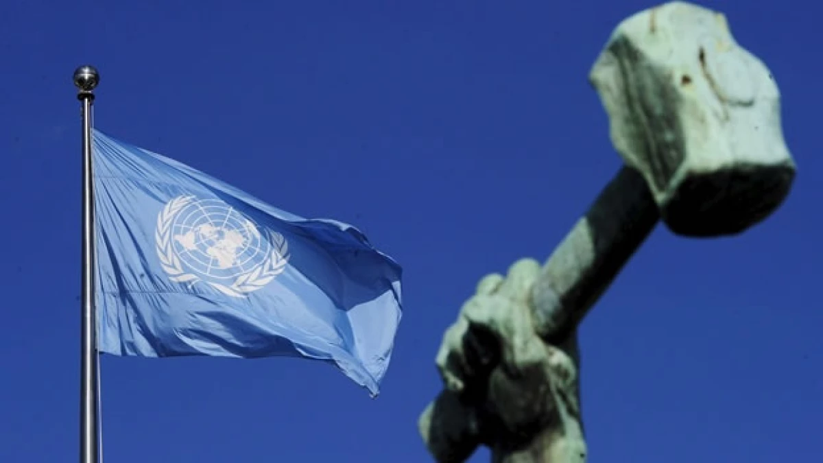 ONU bandera