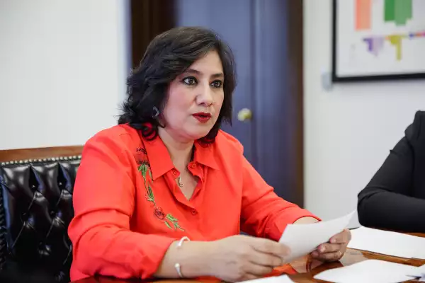Irma Eréndira Sandoval.jpg