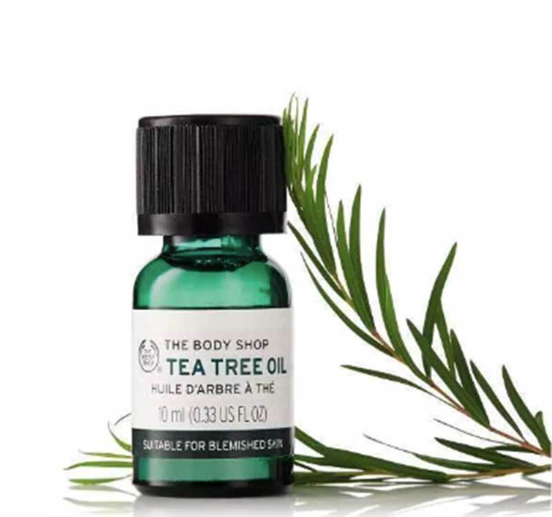 TEA TREE