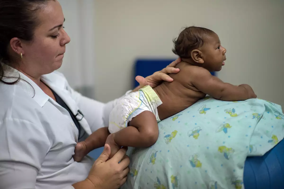 La OMS reconoció la conexión entre el zika y la microcefalia, pero nuevos estudios sugieren que el virus es potencialmente peligroso con otras causas en el primer trimestre de gestación.