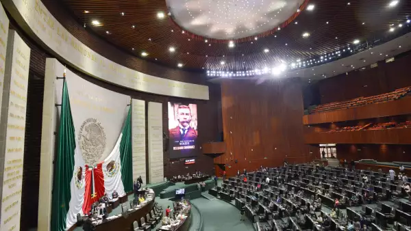 reelección diputados