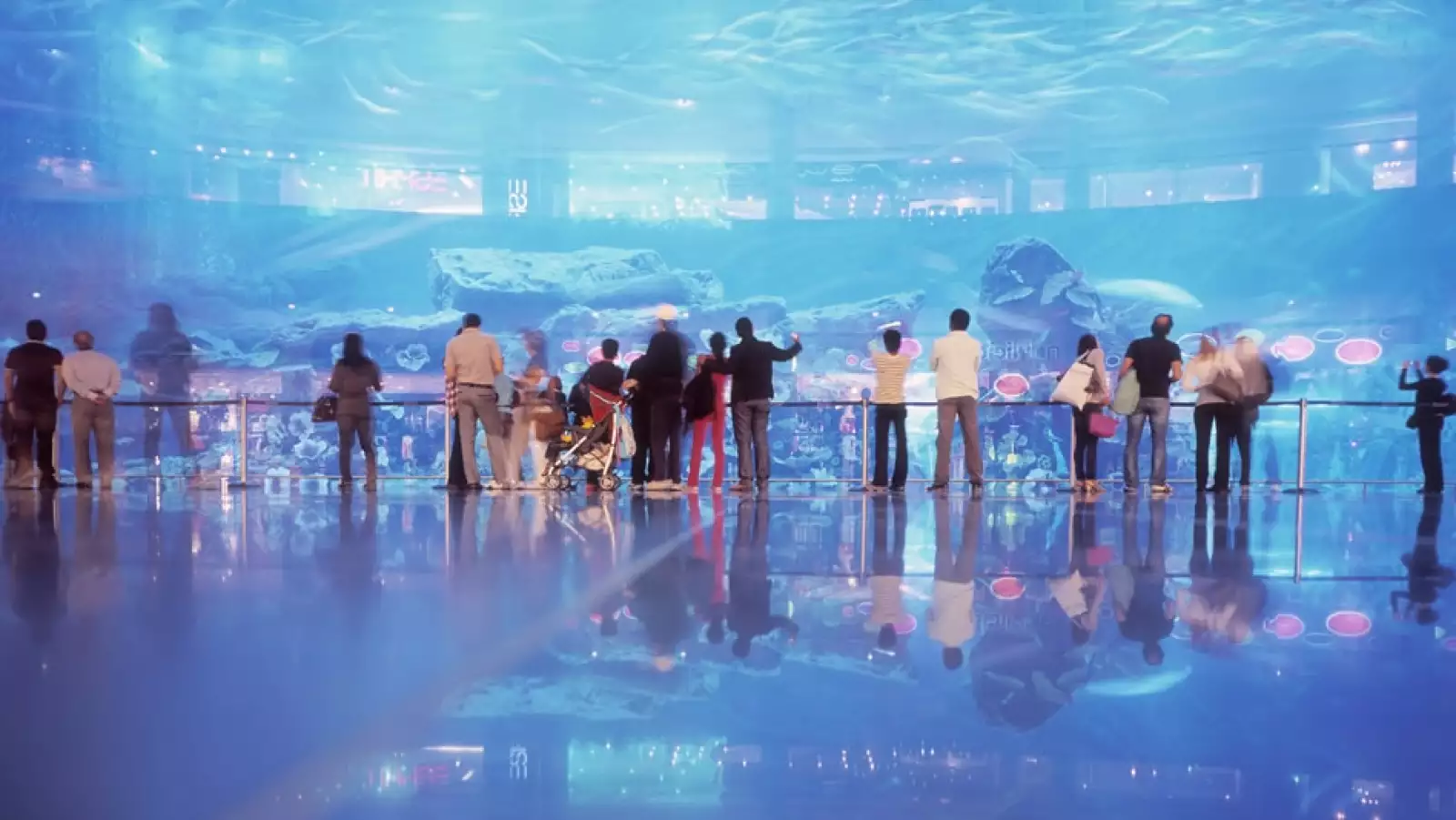 Más de 140 especies animales conviven en un zoológico acuático y en un tanque submarino dentro del centro comercial. 