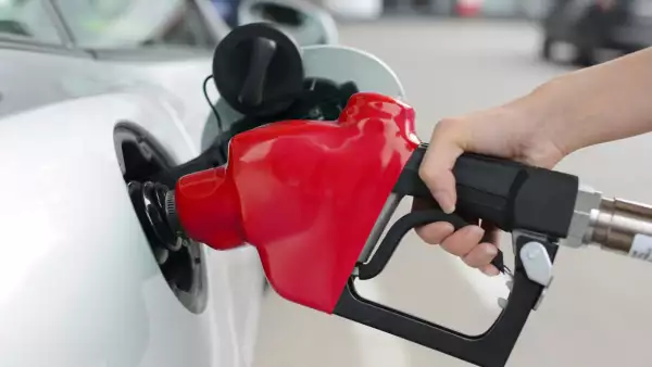 gasolina