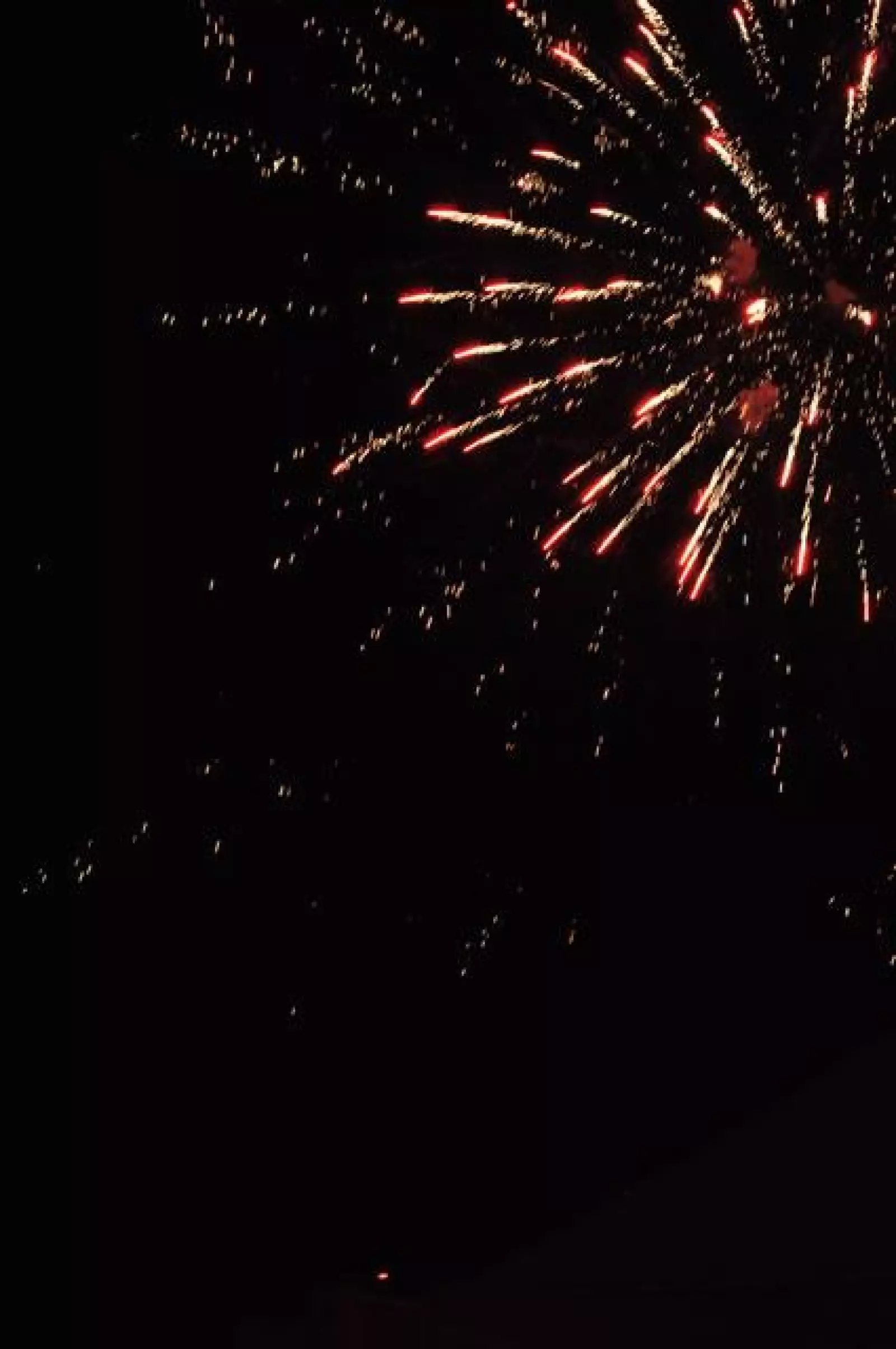 Boda de José Luis Salas y Cordelia Rodríguez