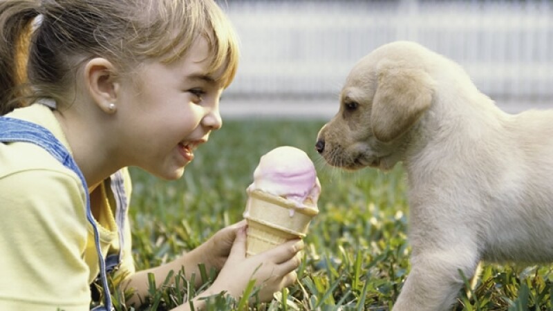 nina helado mascota perro puppy girl