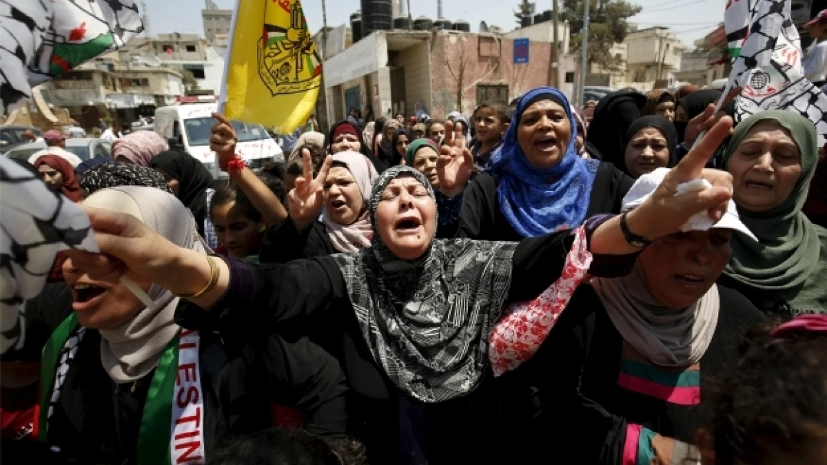 palestina protestas bebe