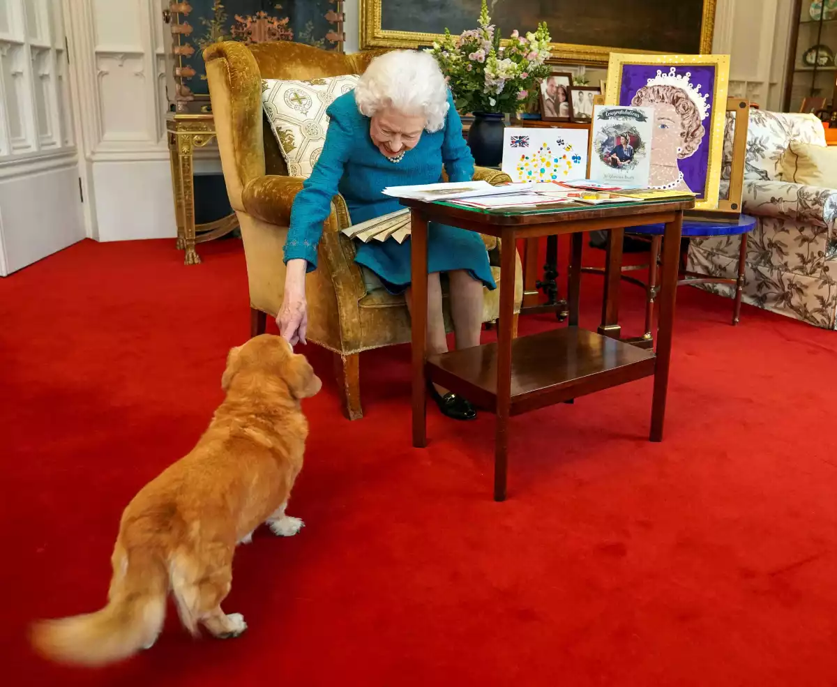 Perros corgis de la reina Isabel II