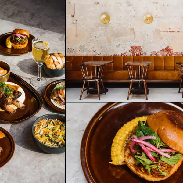 colonia-restaurante-cdmx