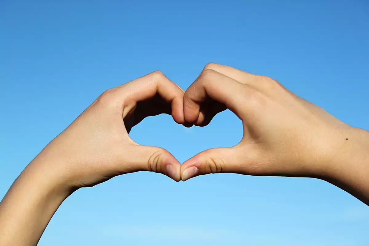 Entre el amor y la política
