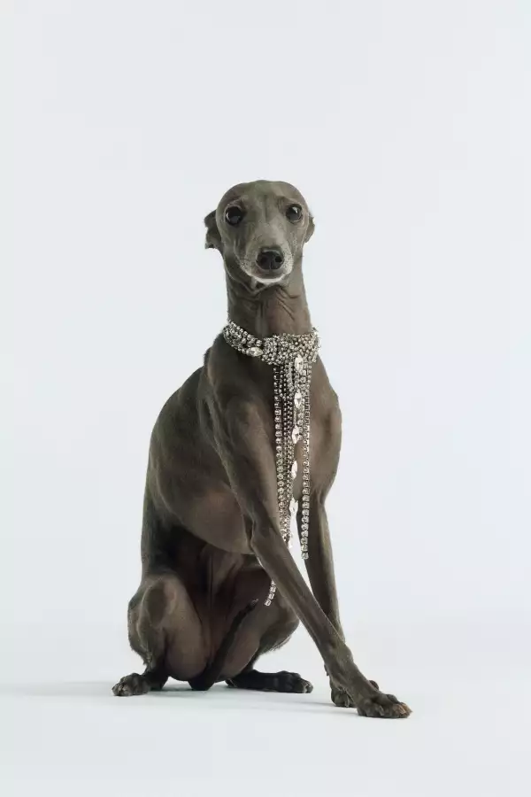 A VERY BIMBA XMAS_BIMBA Y LOLA_1.jpg