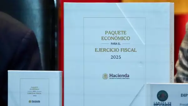presupuesto 2025