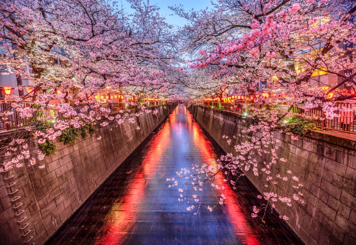 Hanami