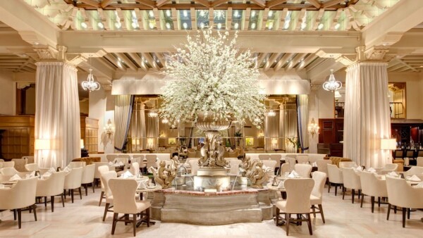Beba como un rey en The Drake Hotel en Chicago