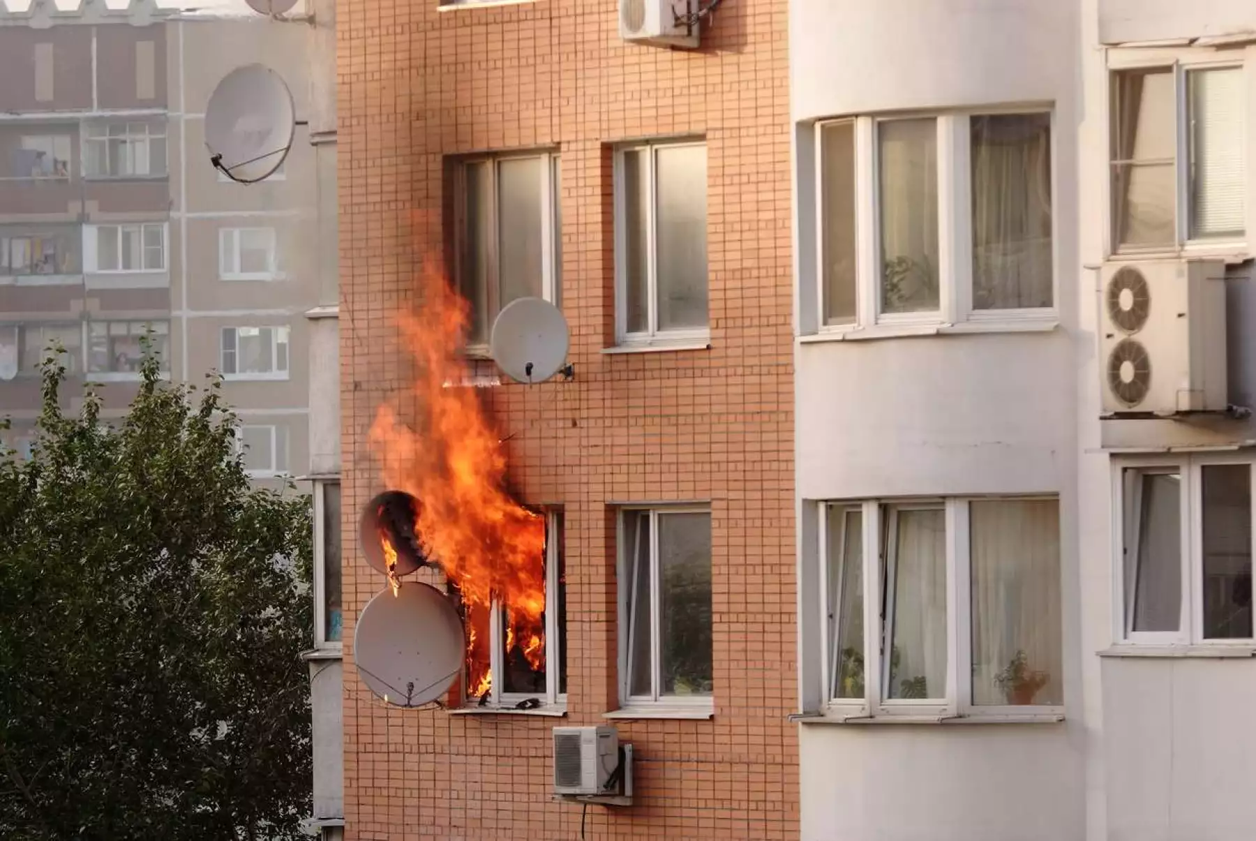 Instrucciones para normalizar el incendio de la democracia