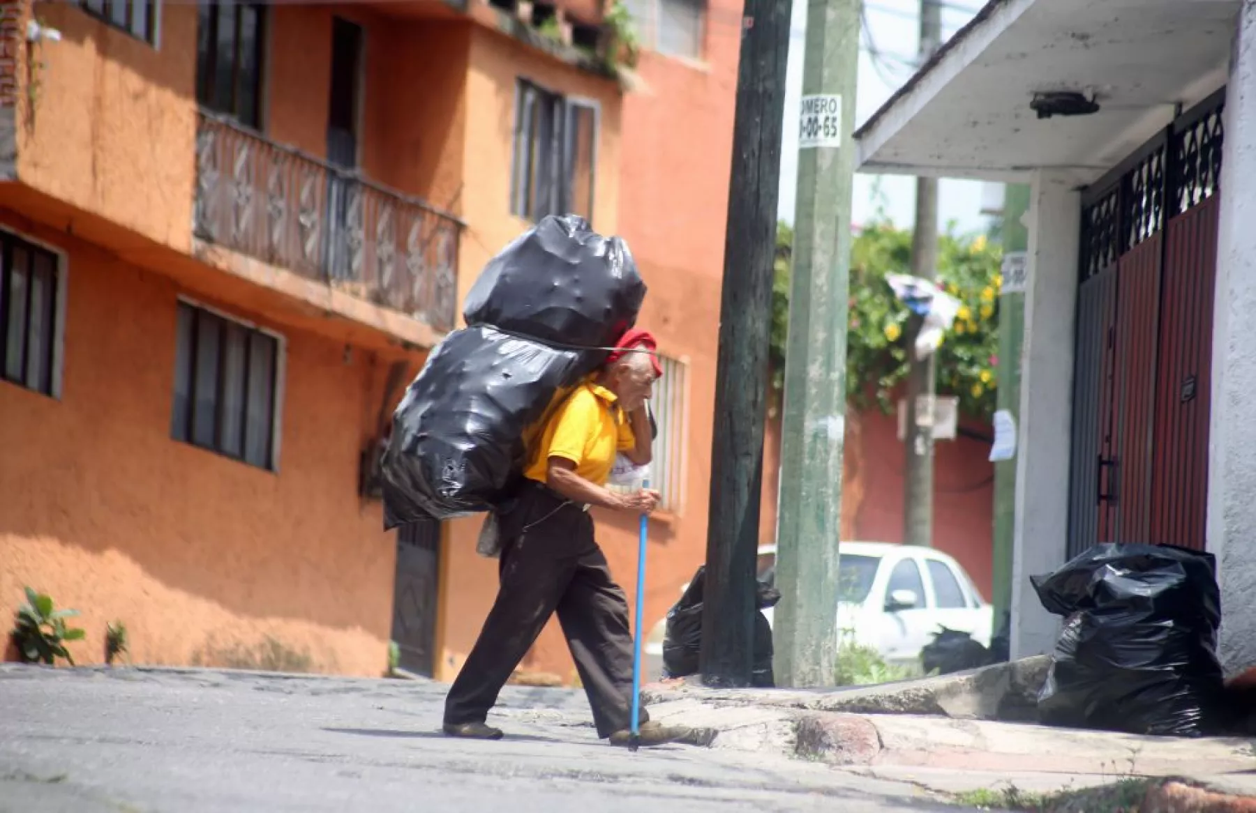 Cotidiana_Recolector_Plastico.jpg
