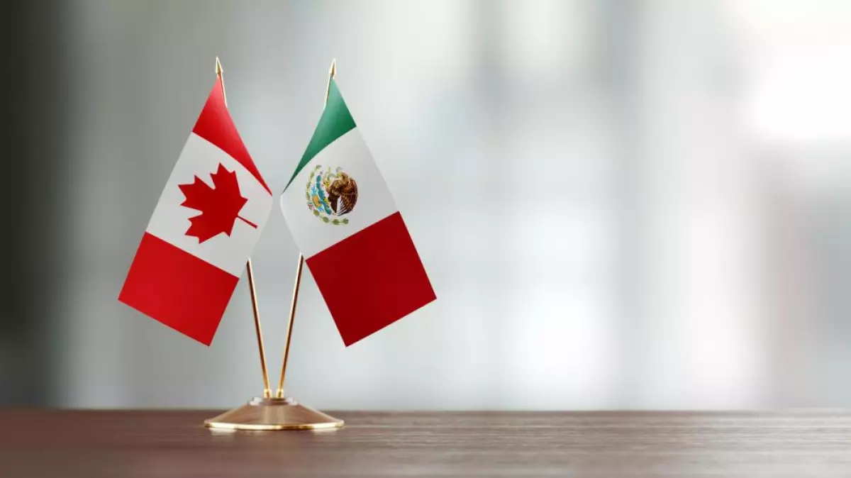 Amigos añejos