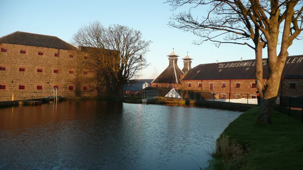 Bushmills