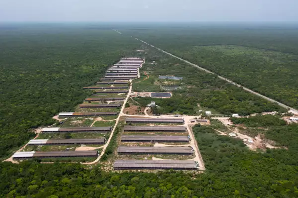 granjas porcícolas yucatán