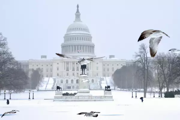 Los pájaros vuelan mientras la nieve cae cerca del Capitolio de los Estados Unidos en Washington, DC, el 25 de enero de 2026. Una tormenta invernal masiva del 24 de enero arrojó nieve y lluvia helada desde Nuevo México hasta Carolina del Norte mientras recorría los Estados Unidos hacia el noreste, amenazando a decenas de millones de estadounidenses con apagones, caos en el transporte y un frío escalofriante.