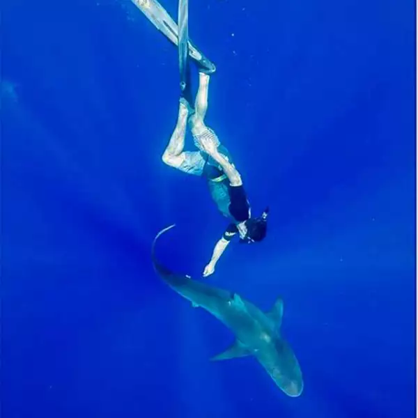 El momento más valiente de la grabación, con duración de 3 minutos y 40 segundos, es en el que vemos a Zac acariciar a uno de los tiburones para después tomarlo de la aleta y dejarse llevar por él.