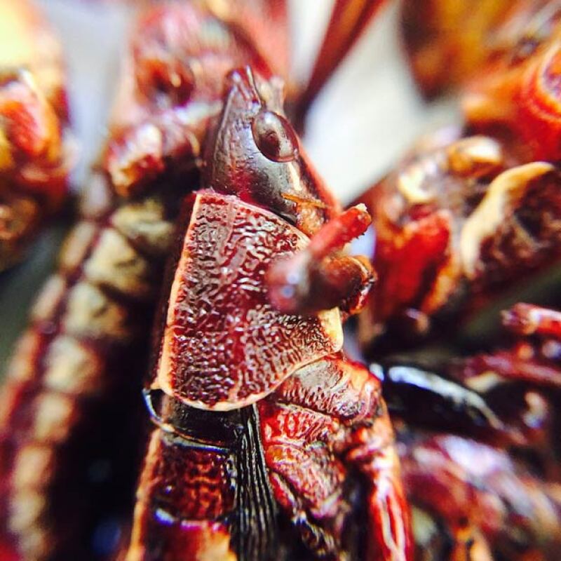 A manera de hacer más atractivos este platillo mexicano, Salma tomó un close up de los chapulines.