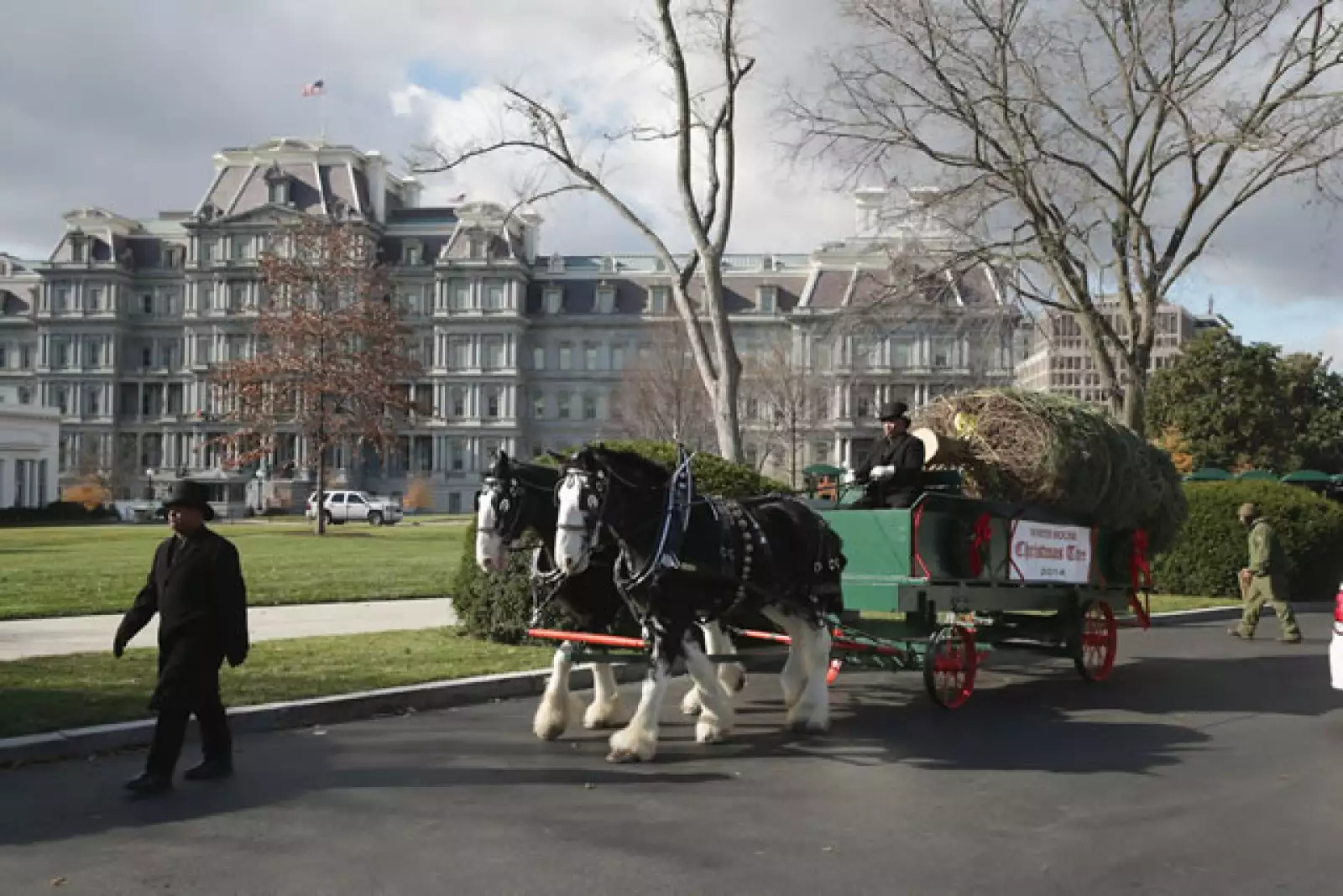 Así llegó a la Casa Blanca el árbol que decora el Blue Room.