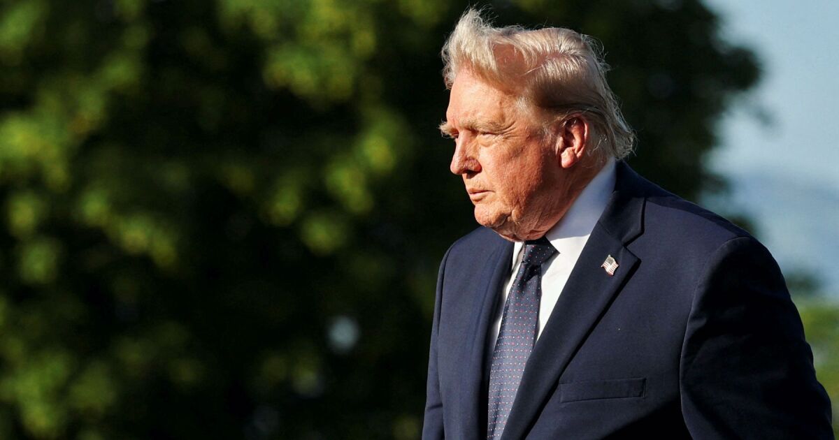 Trump'a oy veren yedi eyalet, bizzat başkanın riske attığı T-MEC'ye bağlı